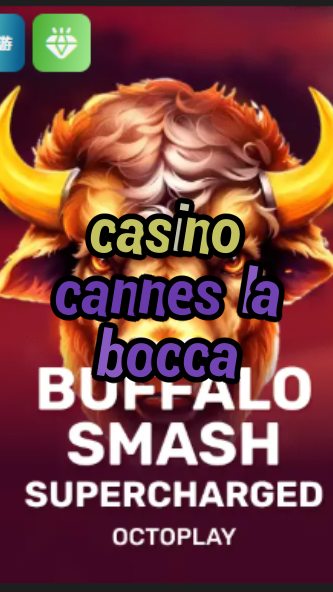 casino cannes la bocca-w4cy2mdjlx2bf.com